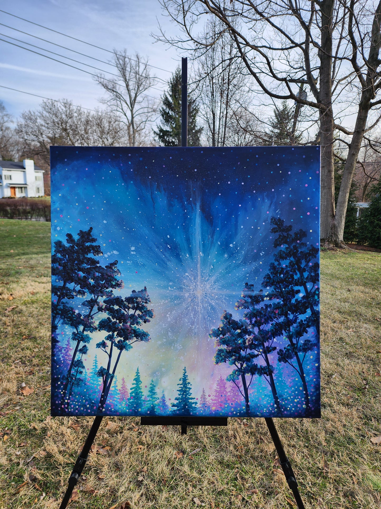 Starry Night Original Art