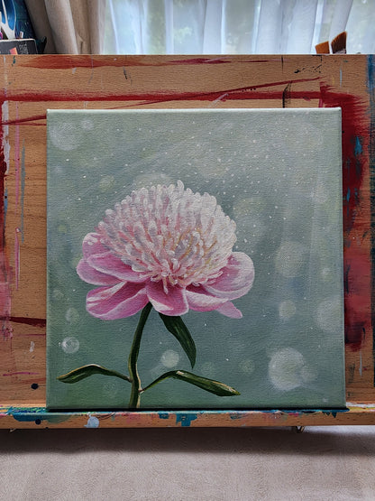 Peony Study 1 Original Art